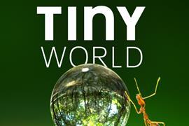 Tiny World